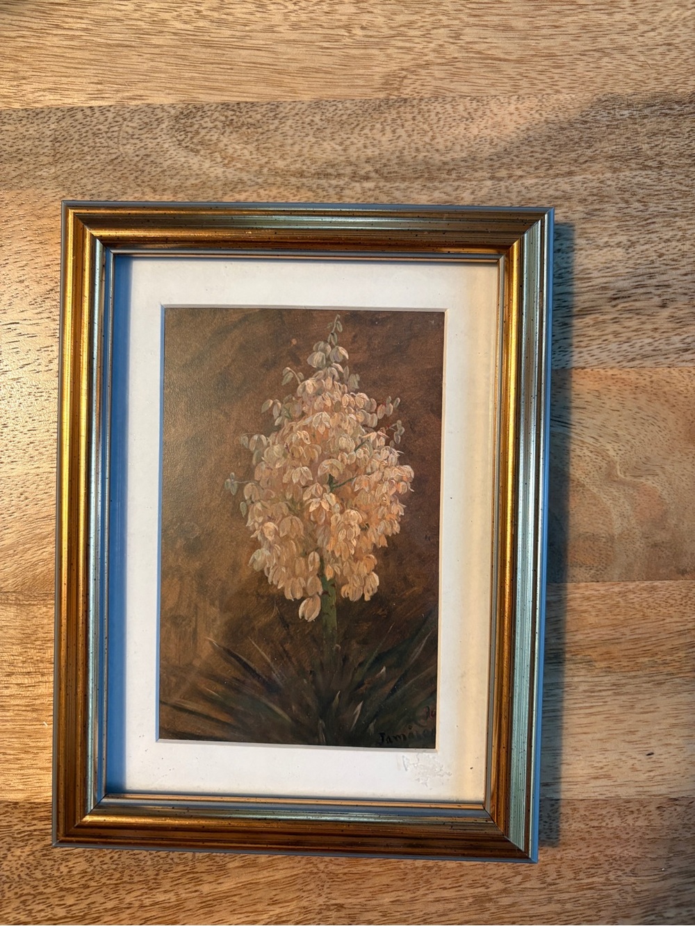 Framed Botanical Artwork with Gold Frame